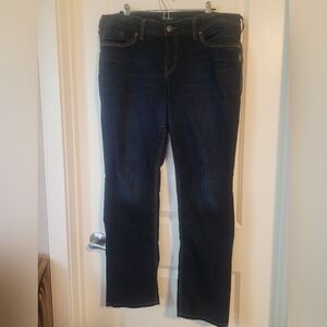 Silver Jeans Blue Straight Leg Denim